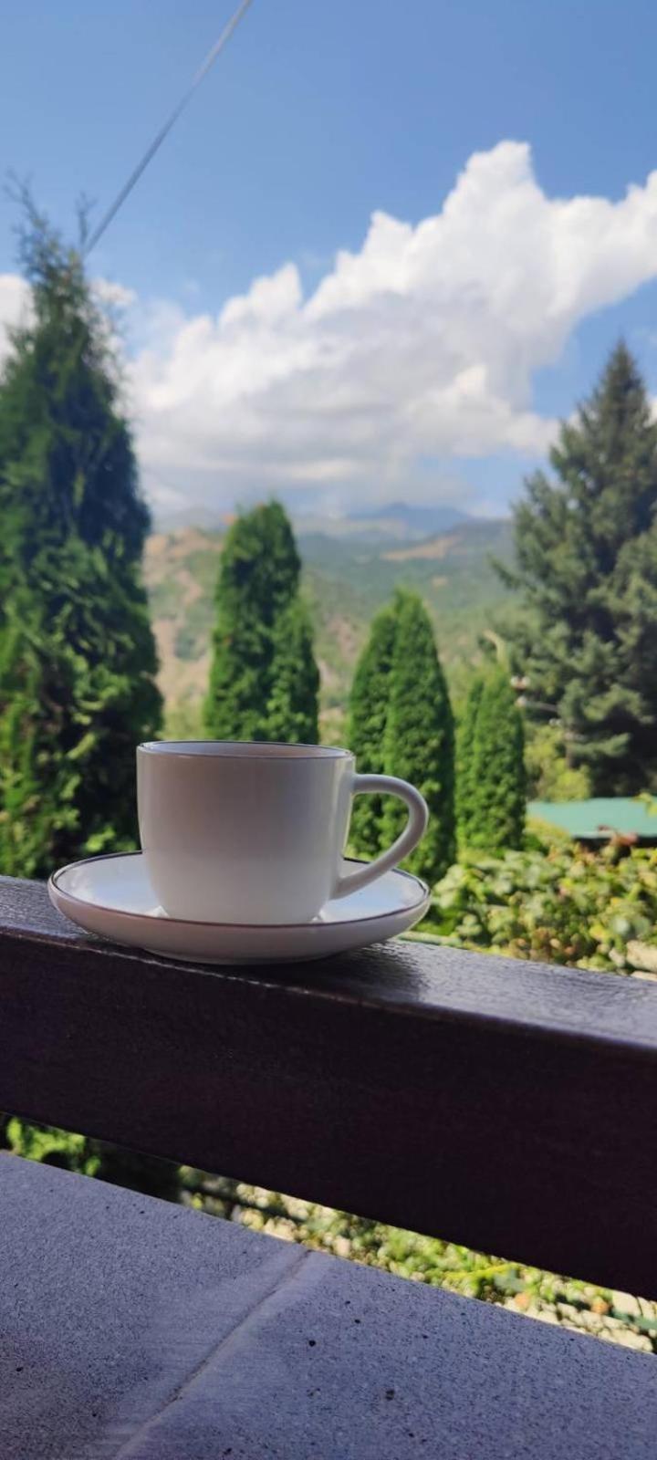 Sunny Lodge Dilidzjan Buitenkant foto